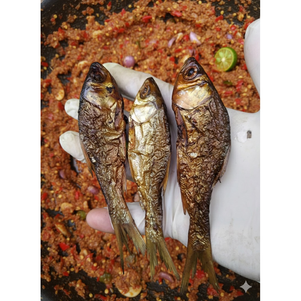 ikan salai motan ukuran sedang