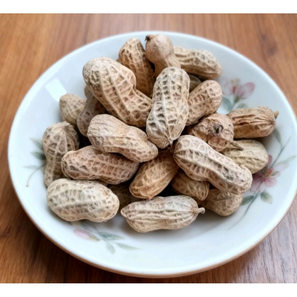 Kacang Kulit Asin Oven