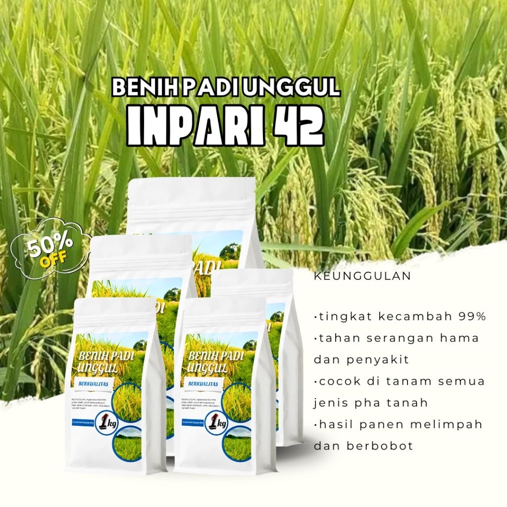 BENIH PADI UNGGUL INPARI 42 1KG PAKET 5KG ( BENIH/BIBIT INPARI 42)