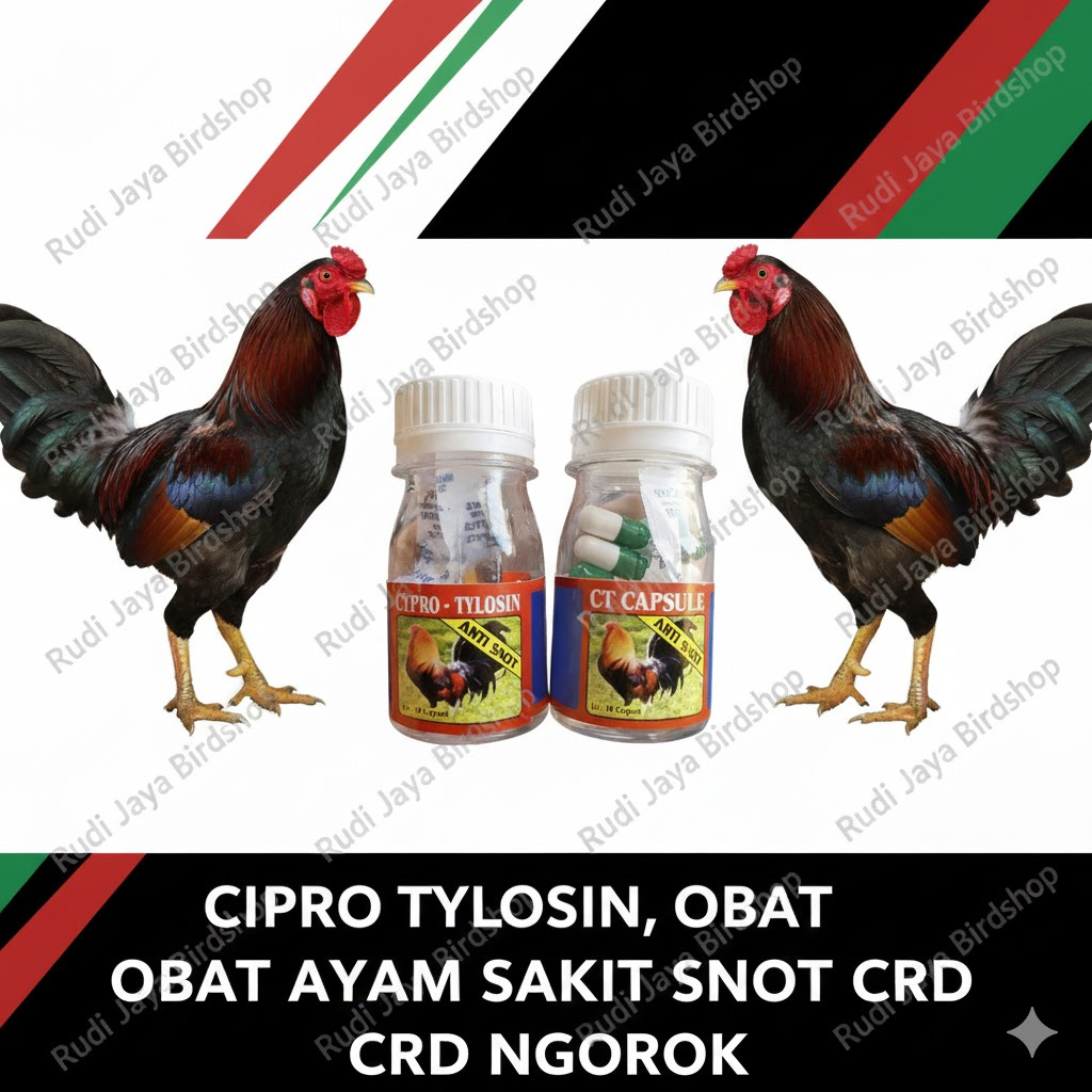 CIPRO TYLOSIN 10 KAPSUL OBAT AYAM SAKIT SNOT CRD NGOROK FLU BURUNG DIJAMIN AMPUH LANGSUNG SEMBUH