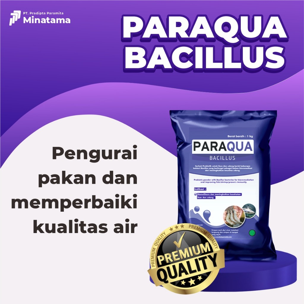 Probiotik udang Paraqua Bacillus untuk meningkatkan kesehatan ikan dan menjaga kualitas air dalam ta