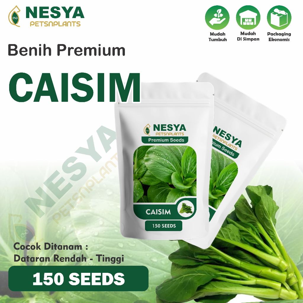 150 Benih Sawi Caisim Hidroponik Bibit Benih Sayur Sayuran