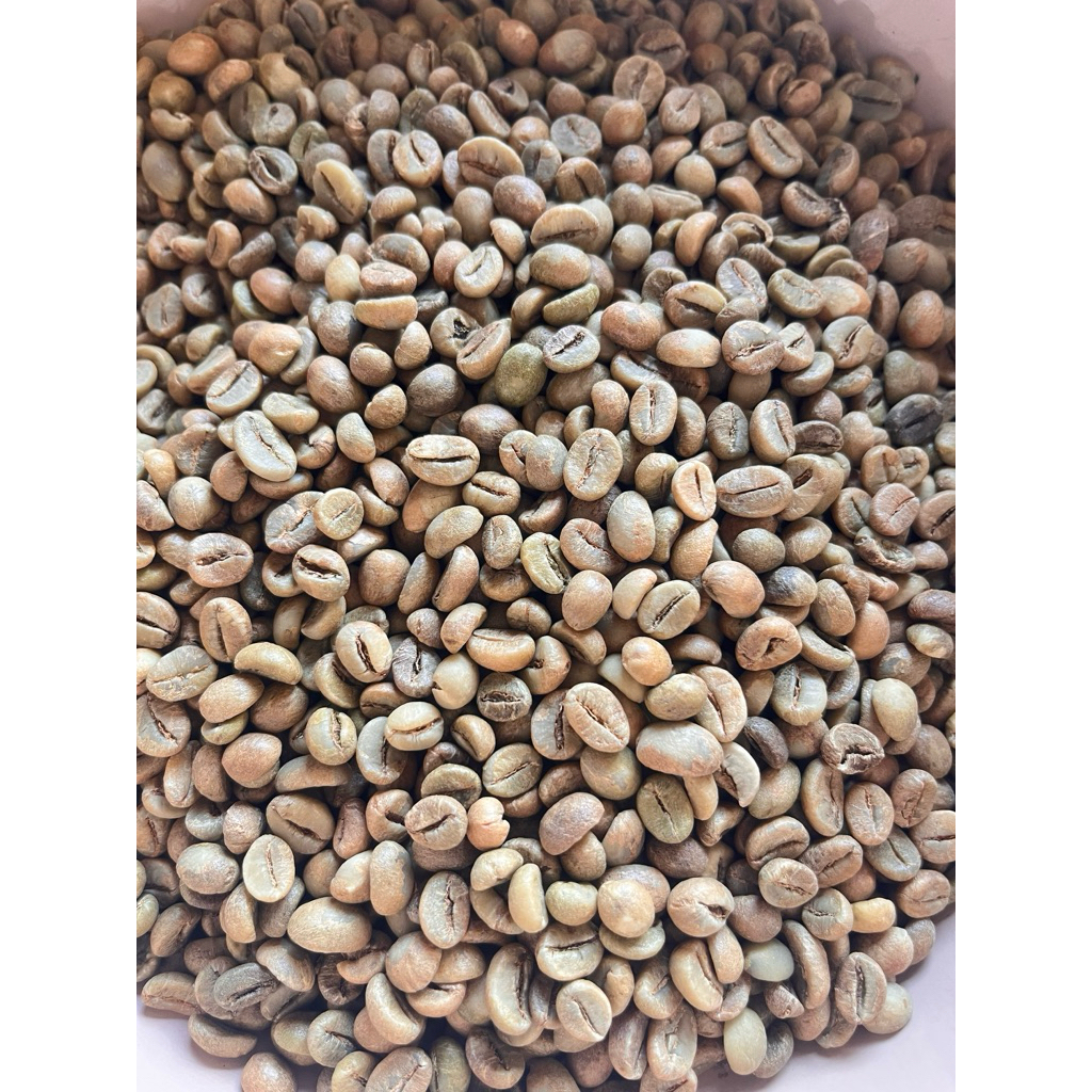 Biji Kopi Hijau Dampit Malang | Green Bean Robusta Premium | Fresh & Siap Roasting