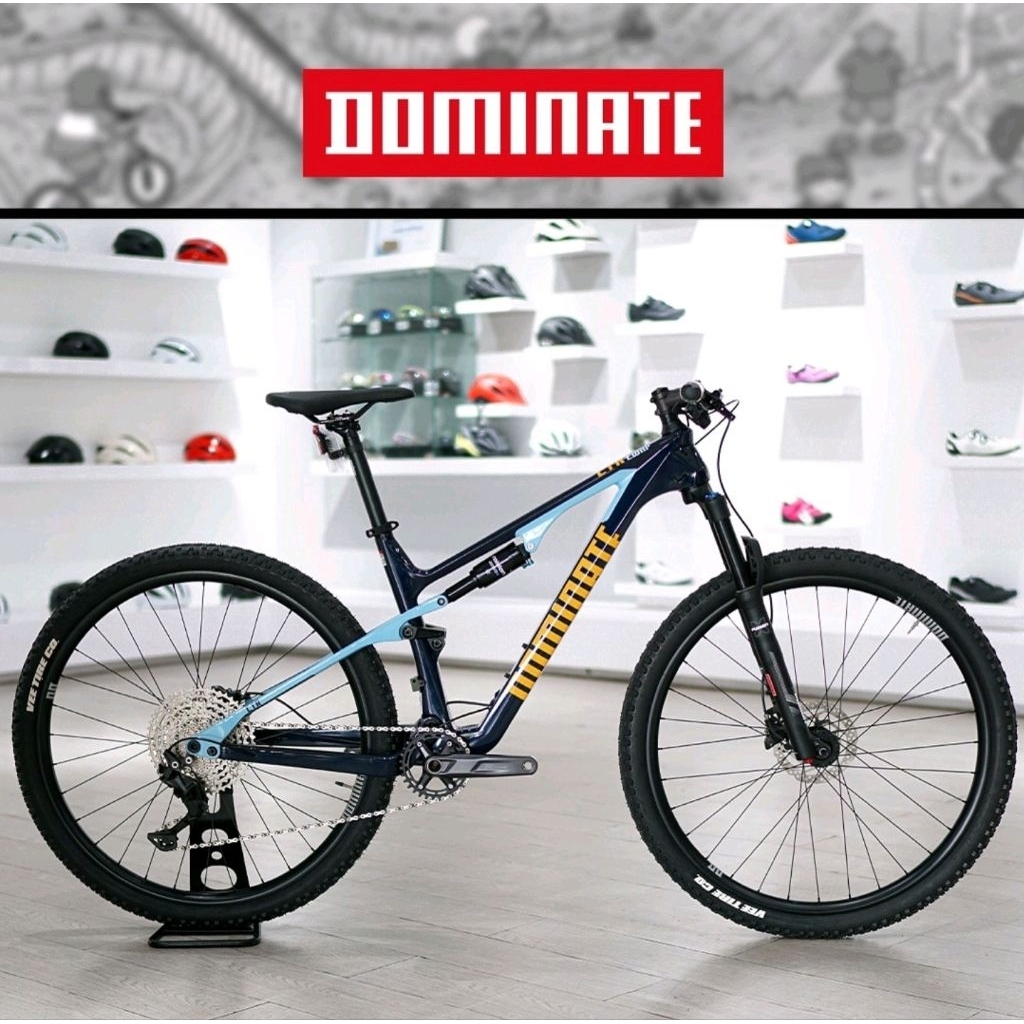 SEPEDA MOUNTAINBIKE DOMINATE CTR COMP