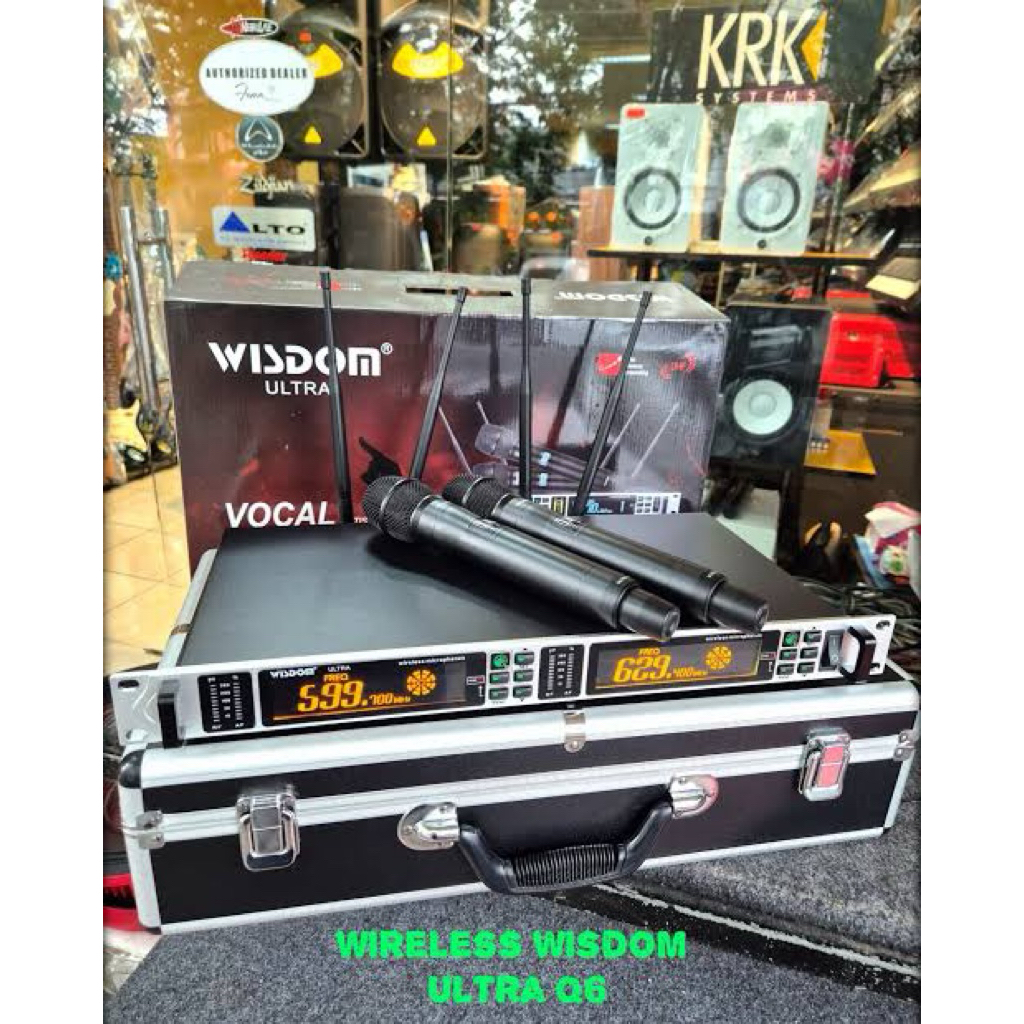 MIC WISDOM Q6+WIRELESS
