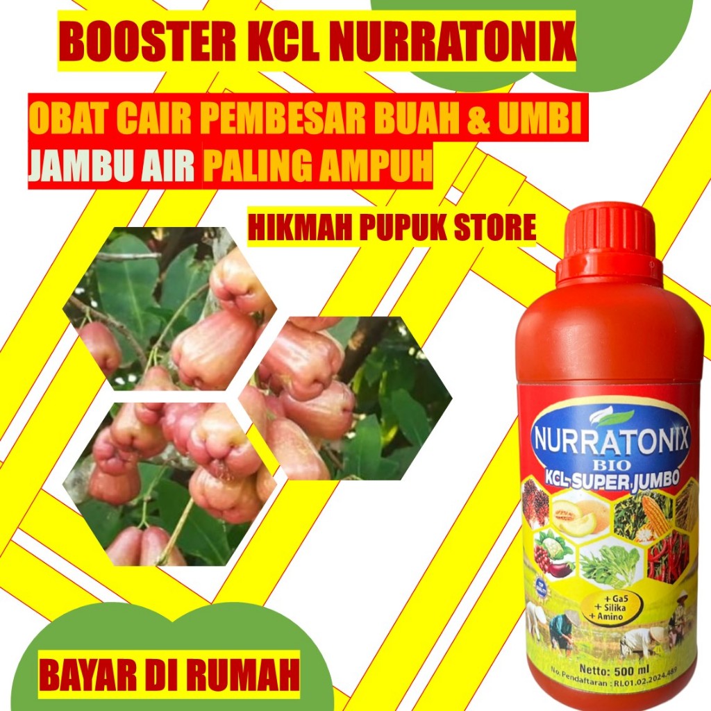 BOOSTER PEMBESAR BUAH JAMBU AIR PALING AMPUH - Pupuk Jambi Air Biar Manis BIO KCL Plus NURRATONIX Me