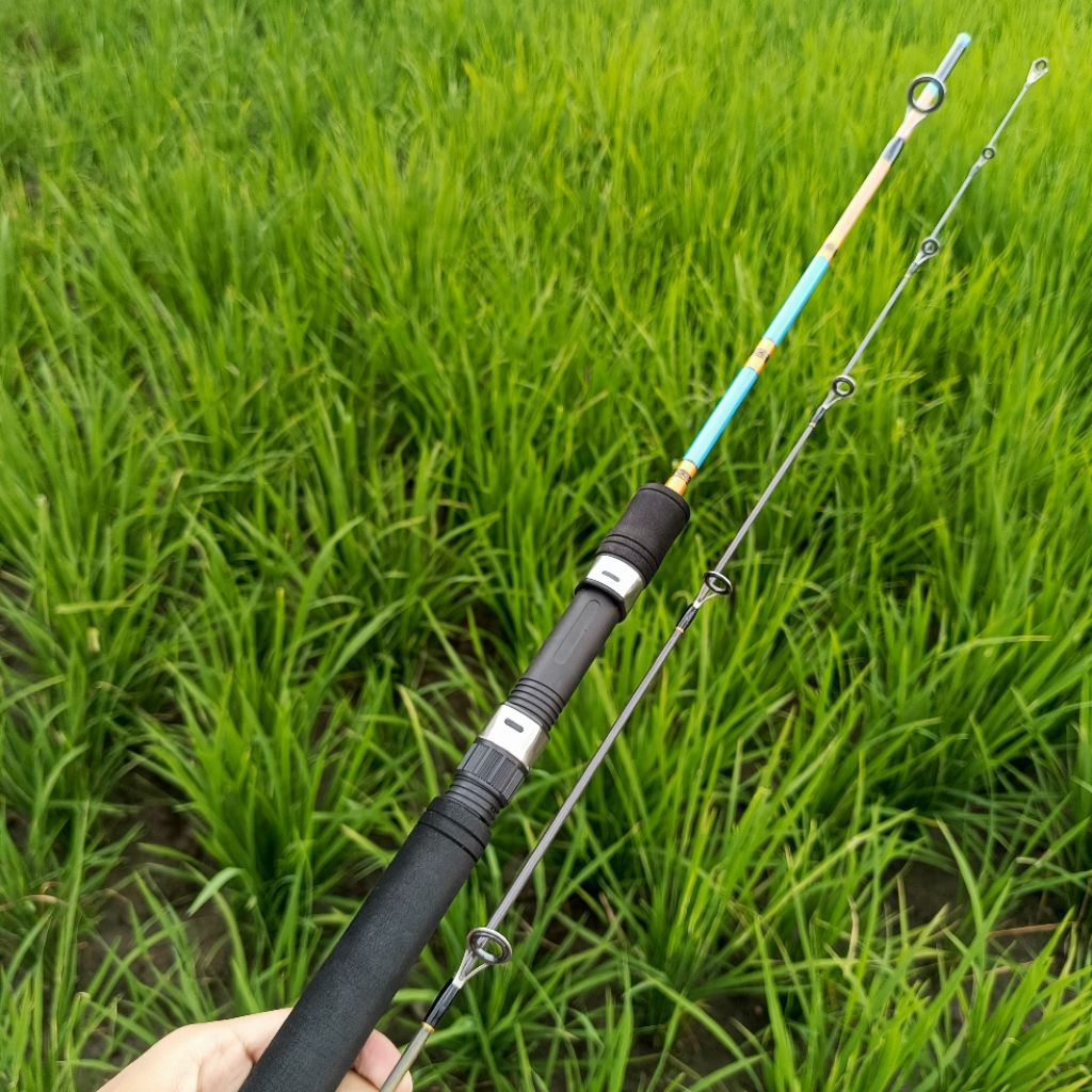 Joran Pancing Ikan Mas bahan sutet terbaru