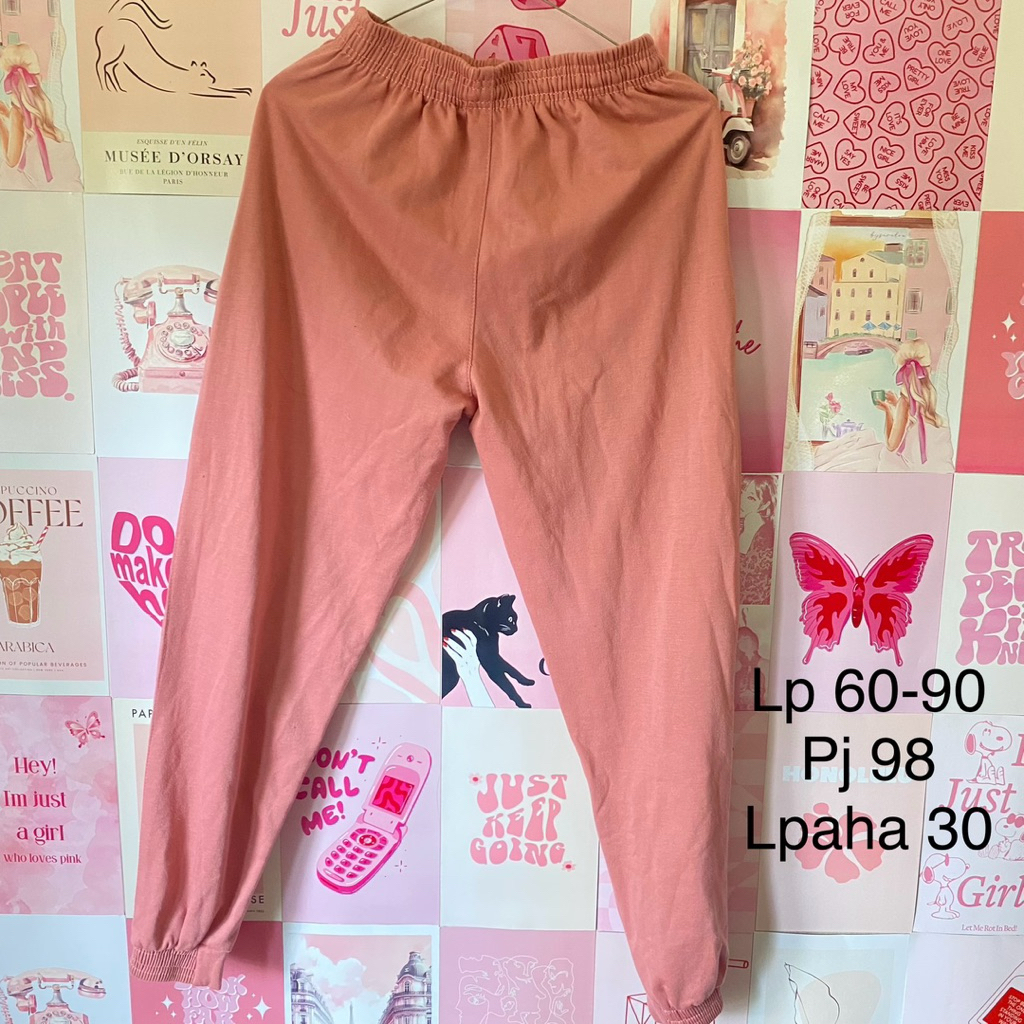 Preloved Jogger Wanita Celana Panjang Lari Training ada Resletingnya