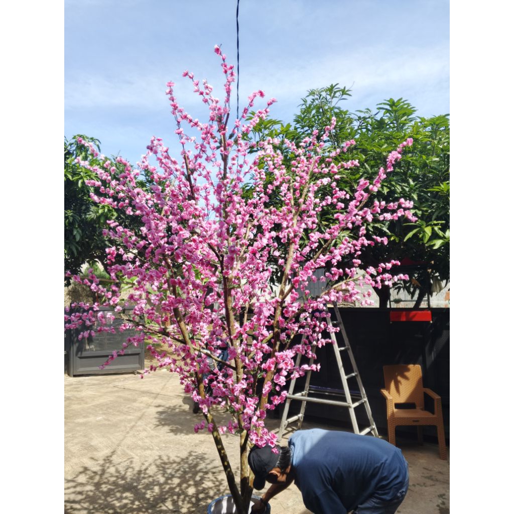 Pohon Imlek Sakura artificial - Pohon Dekorasi Pohon imlek