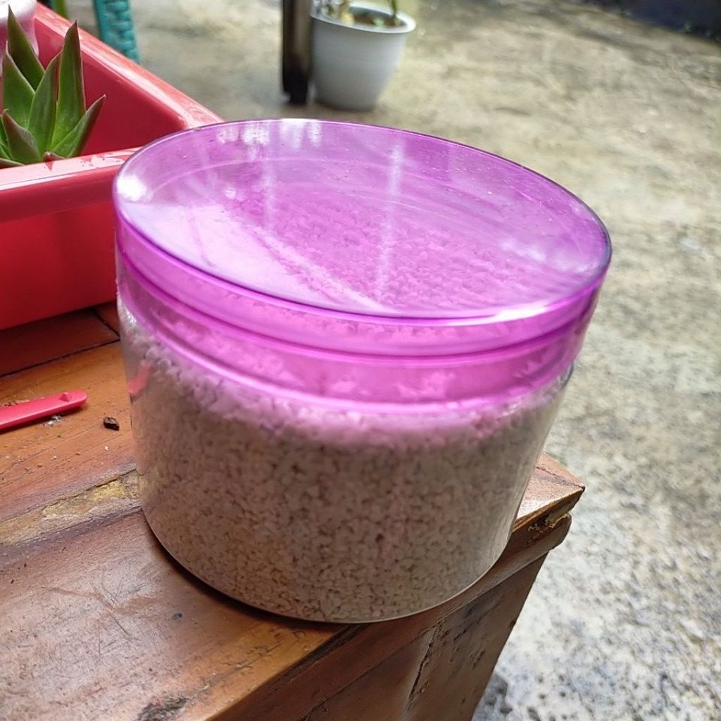 toples plastik kecil