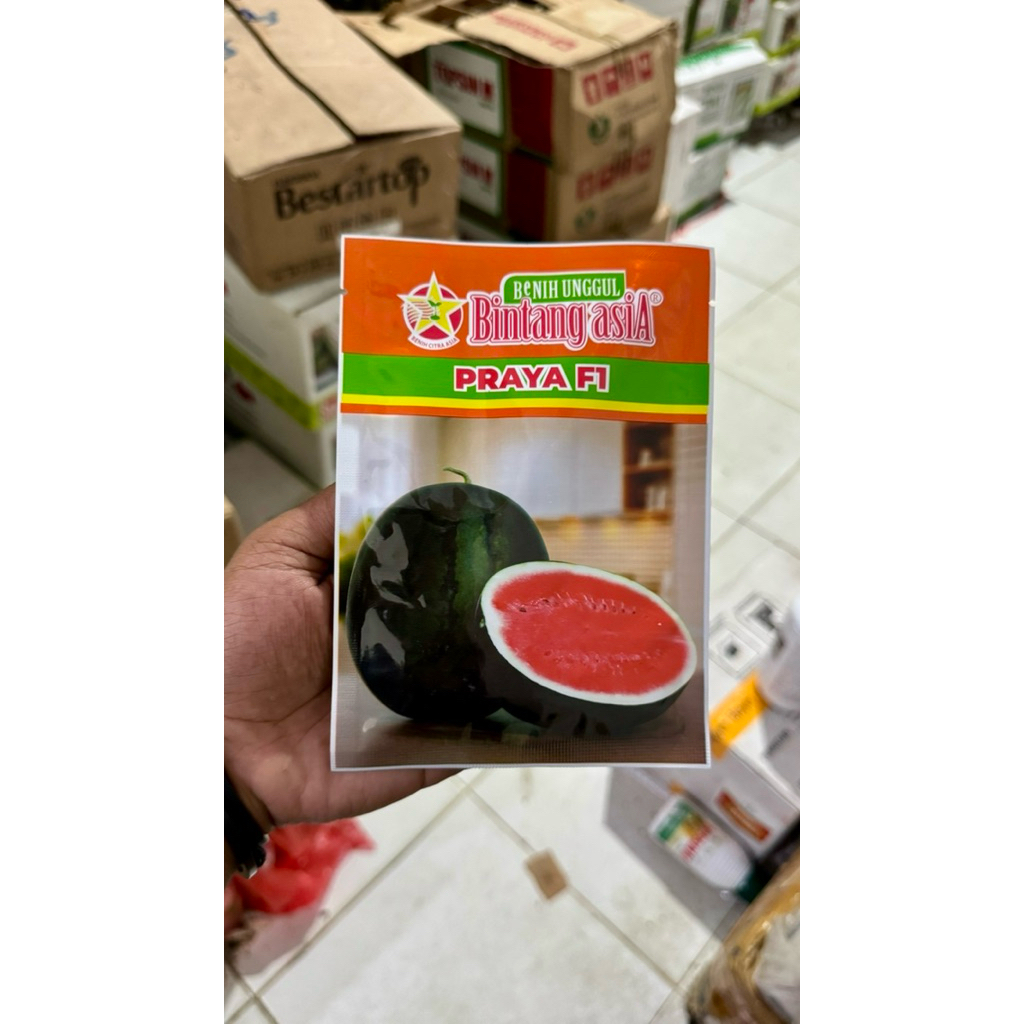 BIBIT BENIH BINTANG ASIA SEMANGKA MERAH PRAYA F1 20g