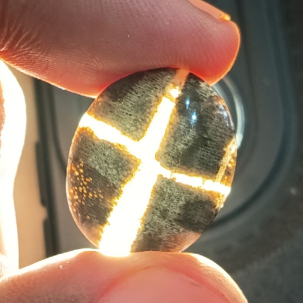 cincin laki laki tapak jalak serat emas natural alami