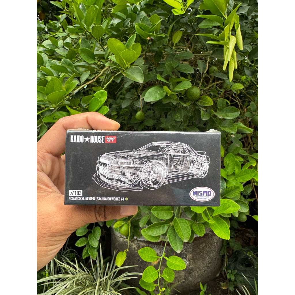 Kaido House Nissan Skyline GT-R (R34) Jade