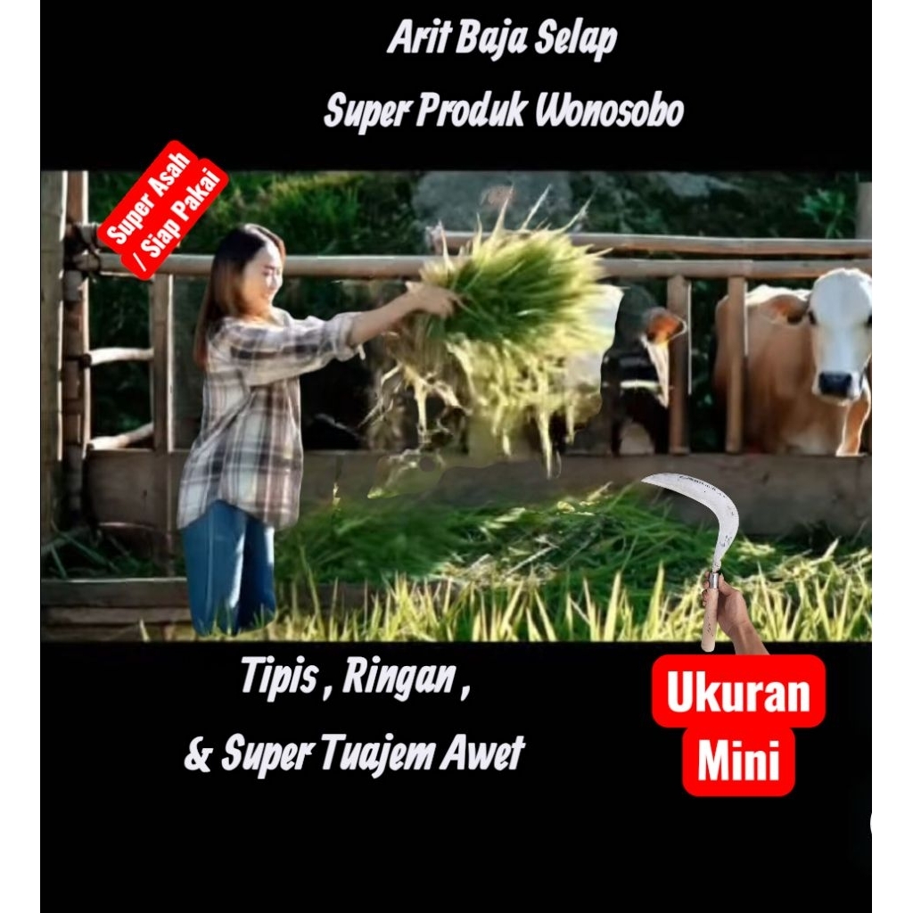 Lukisan Sabit Kawung Mini Ringan Tipis Baja Selap Super AM19 Wonosobo