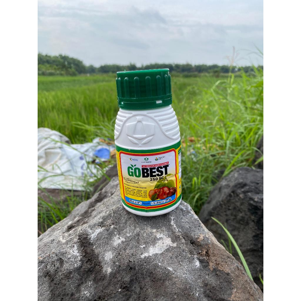 ZPT GOBEST 250 SC 100ML Buat Perangsang Buah