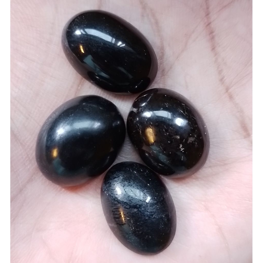Natural Batu Fosil Galih Kelor Hitam Asli Alami