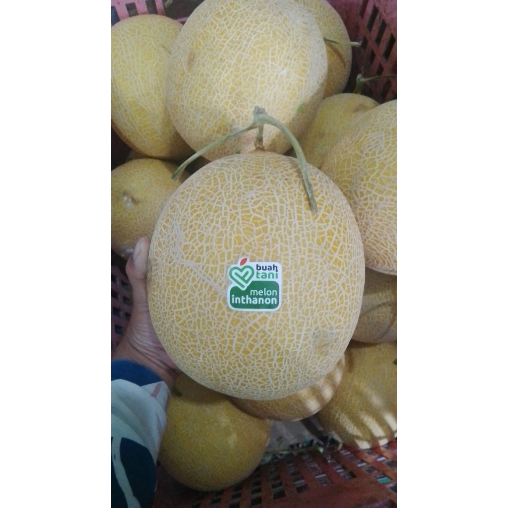 melon inthanon