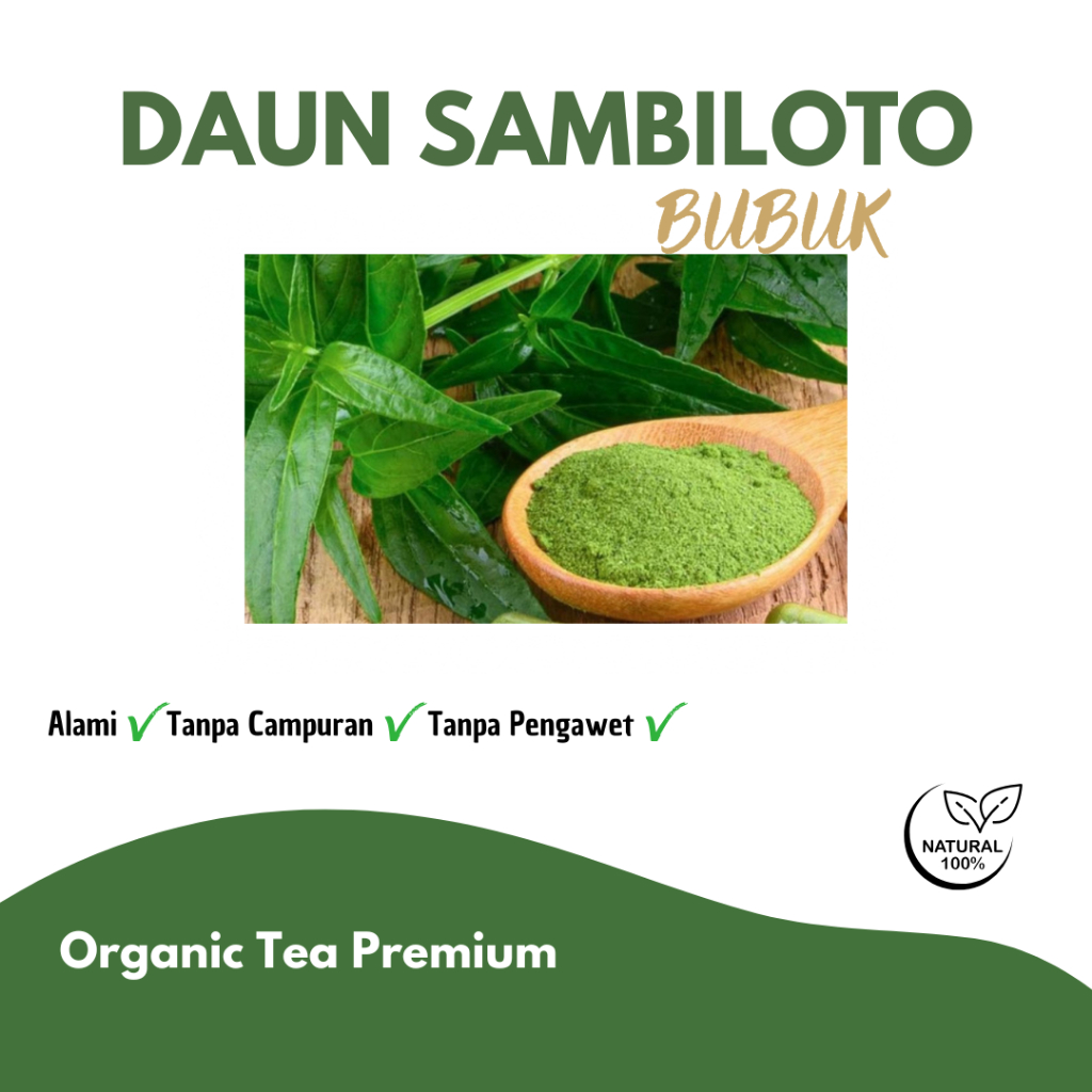 Daun Sambiloto Bubuk - Bubuk Daun Sambiloto