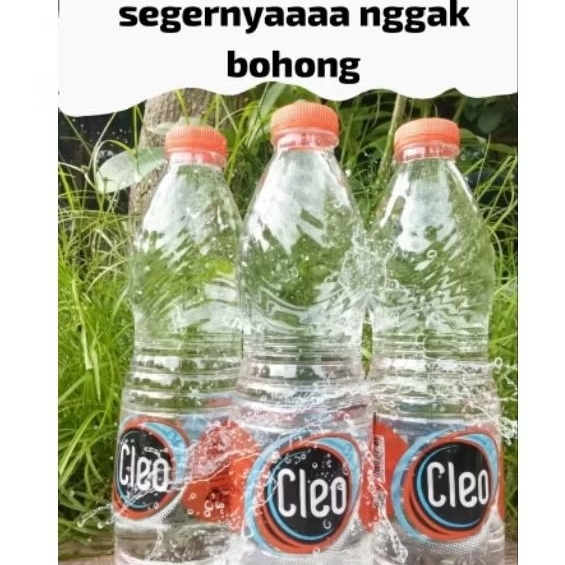 Cleo air mineral murni 600 ml