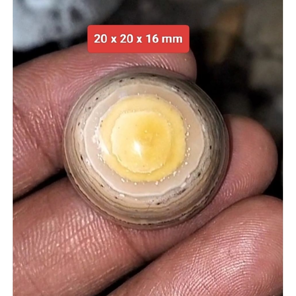 Batu Akik Puser Bumi asli alam