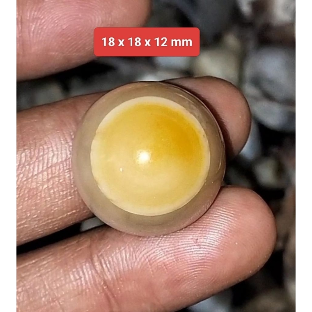 Batu Akik Puser Bumi asli alam