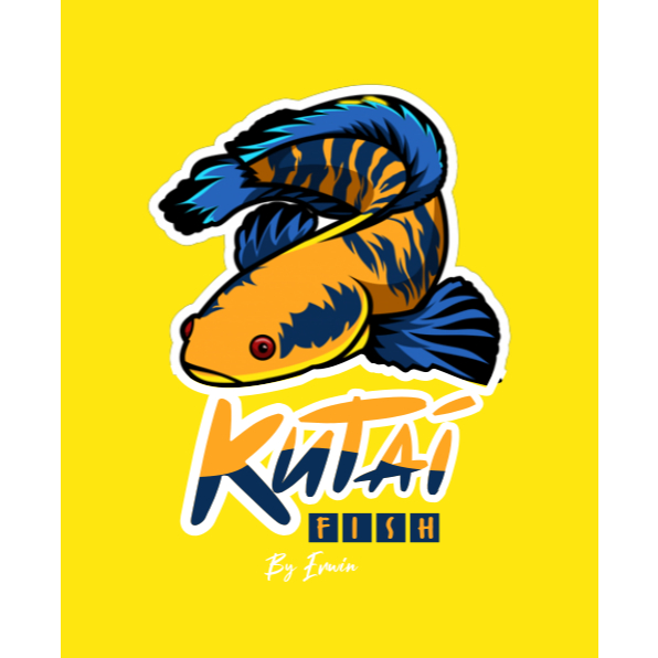 Kardus Peking Channa Maru Red Katingan 5-7 cm