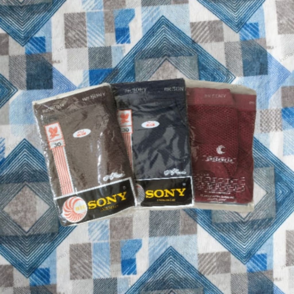 [iTQ] Ricsony 502SJW Celana Dalam Jaring Pria