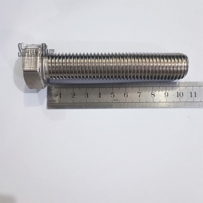 M20 x 100 Baut Hexagon Stainless 304 M20x100