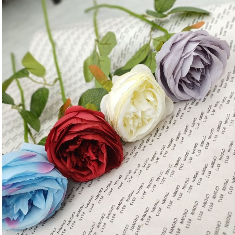 Artifical Mawar Single David Austin/Tanaman Bunga Mawar Import/Tanaman Hias Bunga  Mawar  David Aust