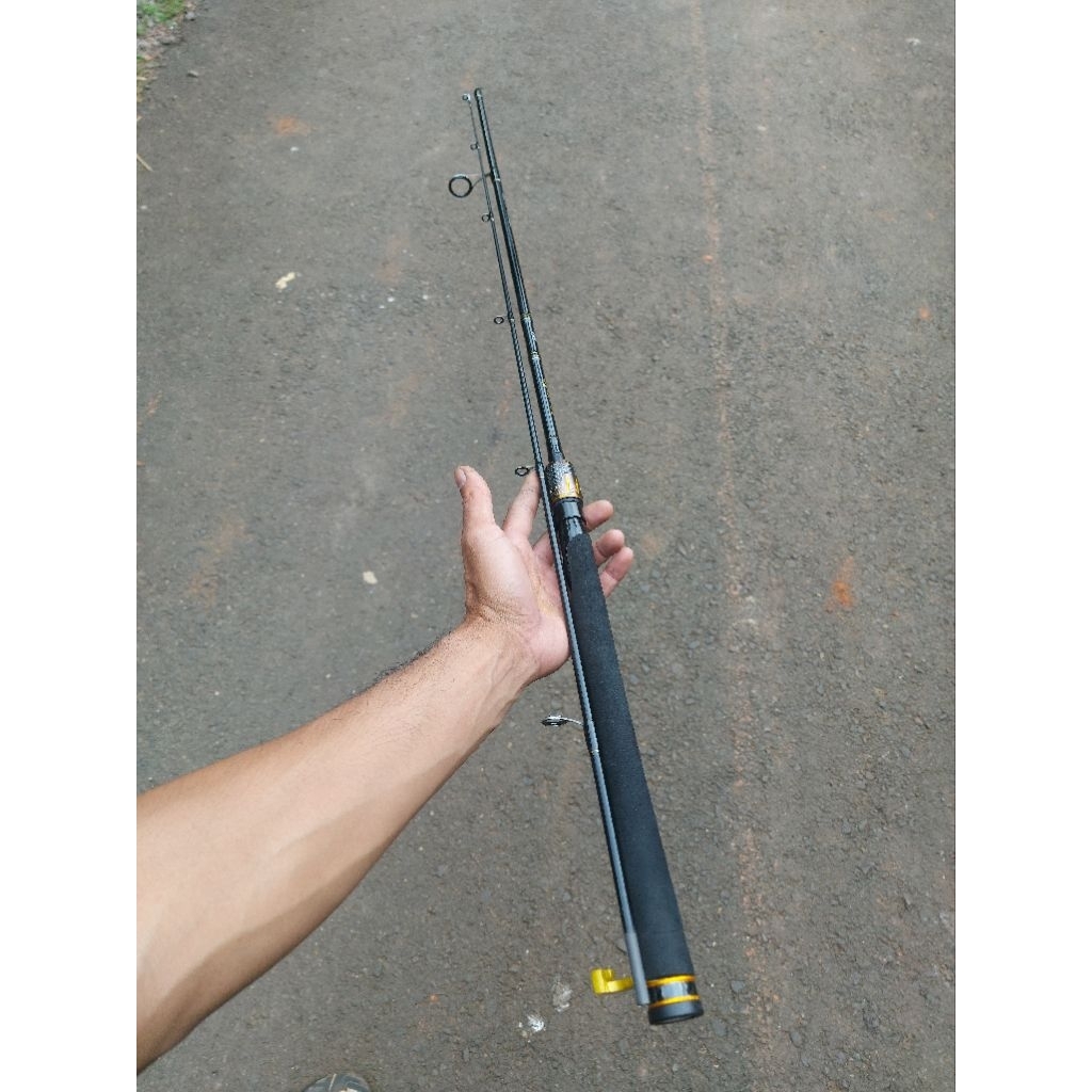 Joran Custom Daiwa Legatus