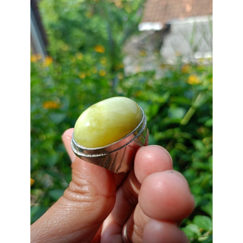 Batu Akik Indocrase Belimbing Aceh