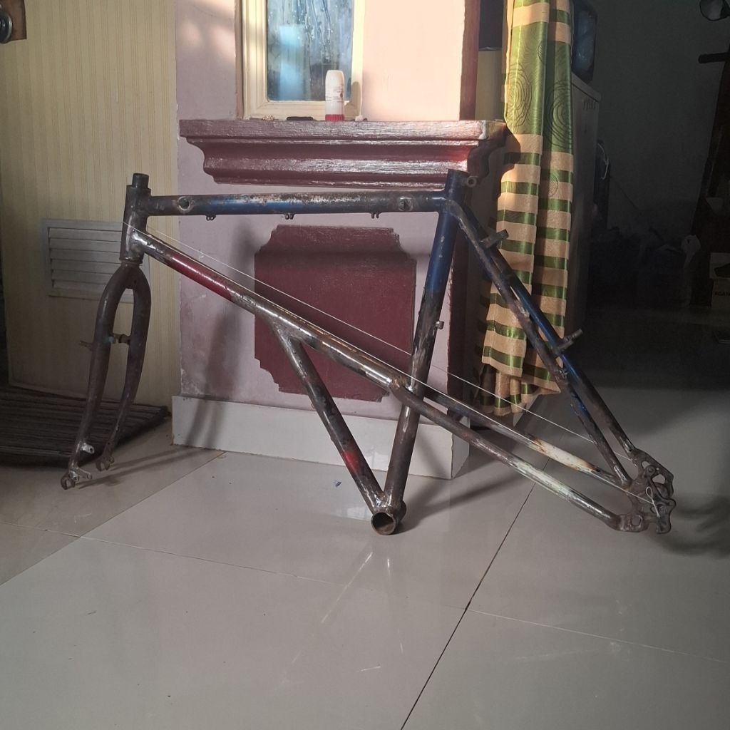 Frame Elevated Bike Size 21