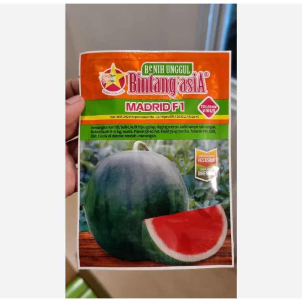 benih semangka non biji Madrid F1 20 gram