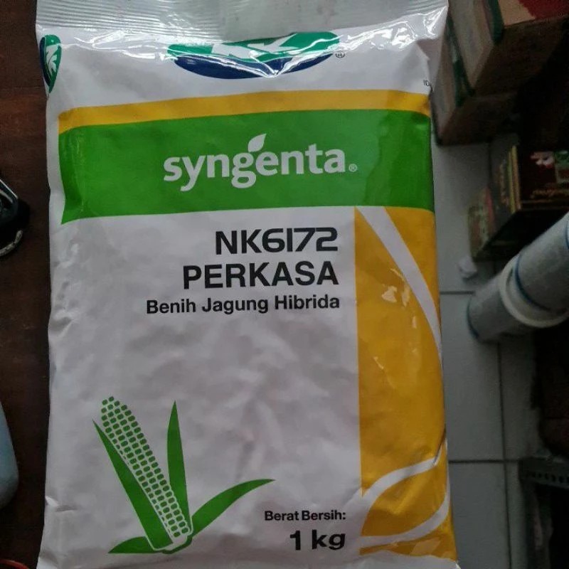 Benih JAGUNG HIBRIDA NK 6172 PERKASA 1KG #bibit jagung#jagung perkasa#bibit nk perkasa