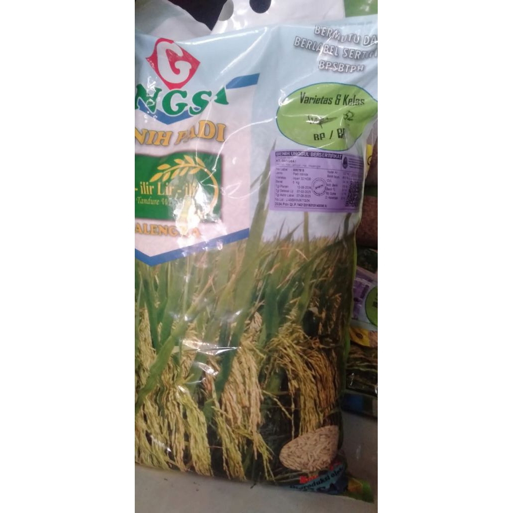 Benih padi inpari 50 marem