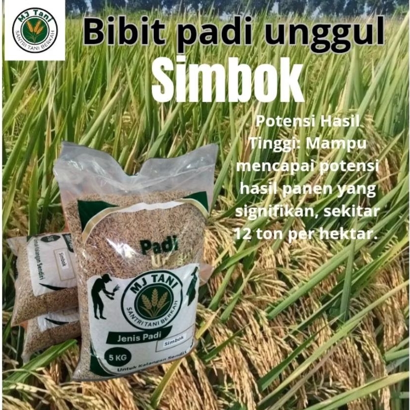 bibit padi unggul simbok 5kg