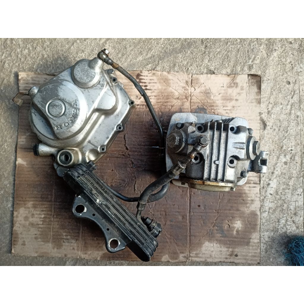 head Tiger + oil cooler