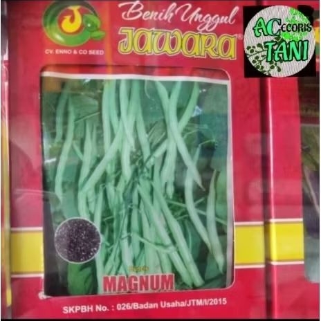 JAWARA_(Kecil)4-10gr