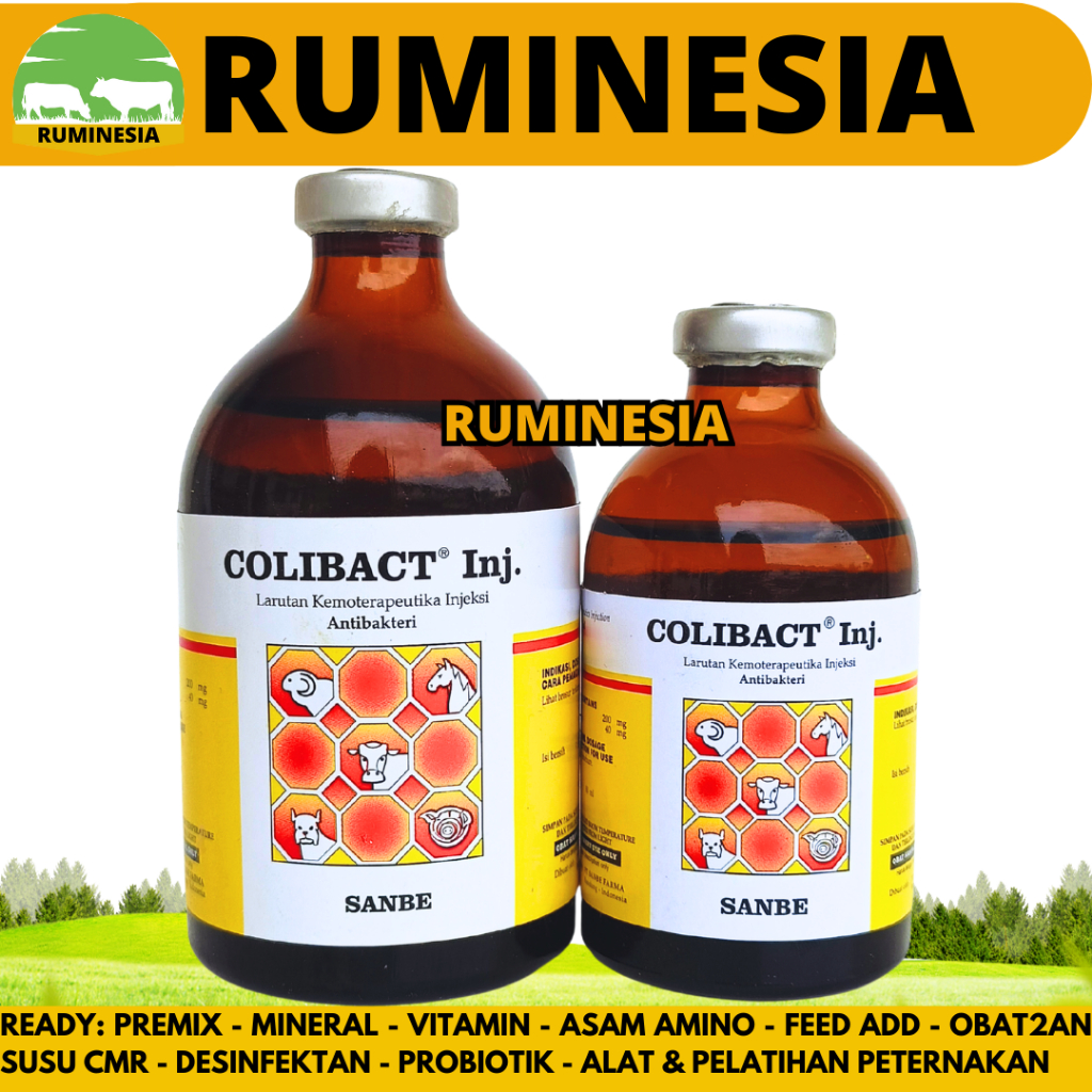 COLIBACT INJ 50ML COLIBACT INJ 100ML SANBE - Obat Hewan Antibakteri Pencernaan Ternak Sapi Kambing