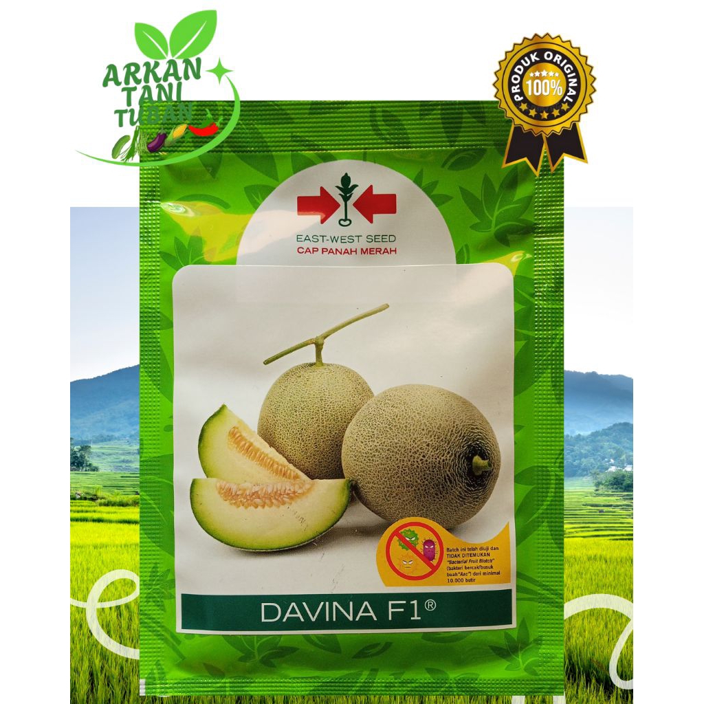 BENIH MELON DAVINA F1 500 BUTIR - CAP PANAH MERAH
