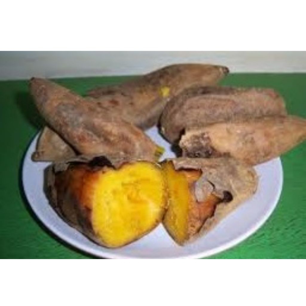 ubi Cilembu madu ubi Cilembu ubi madu ubi jalar ubi Cilembu 1kg di jamin manis