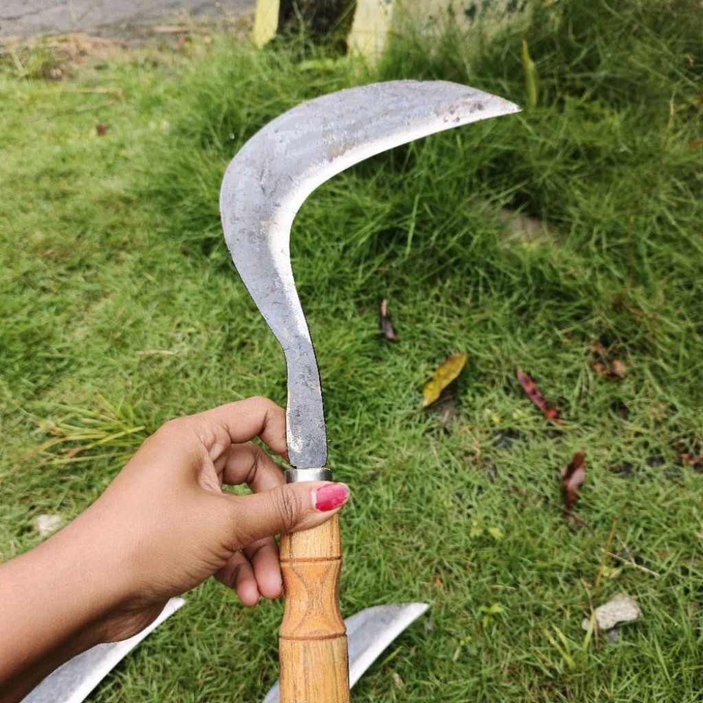 Sabit Arit Pengaritan Rumput Bahan Baja Pir Berkualitas