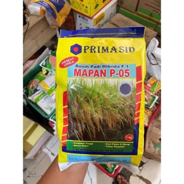 JAMINAN ASLI...Benih Padi Bibit Mapan p05 Primasid Mapan 05 Hibrida 1kg