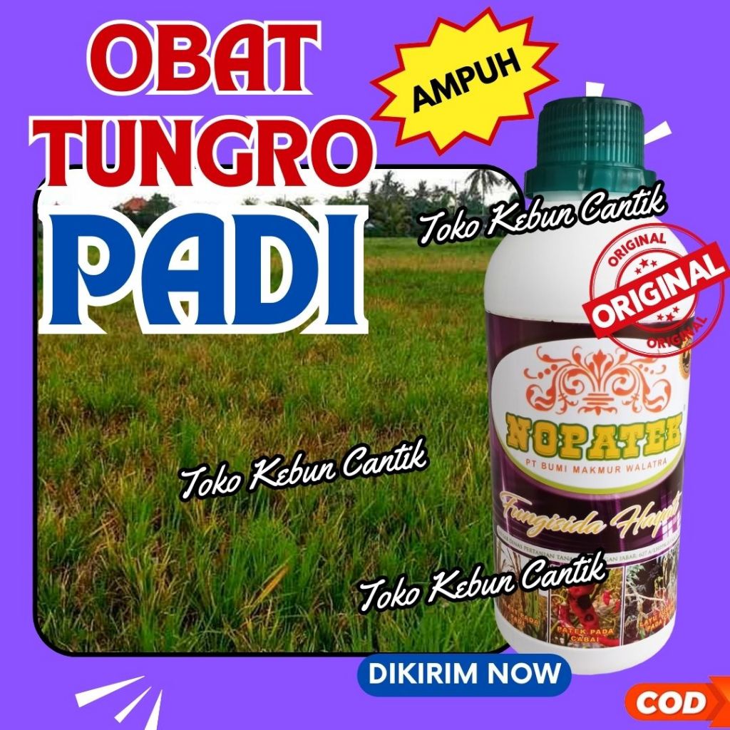 Obat Penyakit Jamur Padi NOPATEK 500ml Fungisida Hayati
