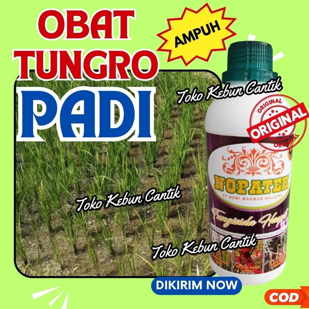 Obat Padi Menguning Blast Tungro NOPATEK 500ml