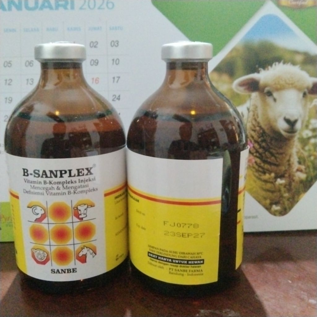 b sanplex 100ml