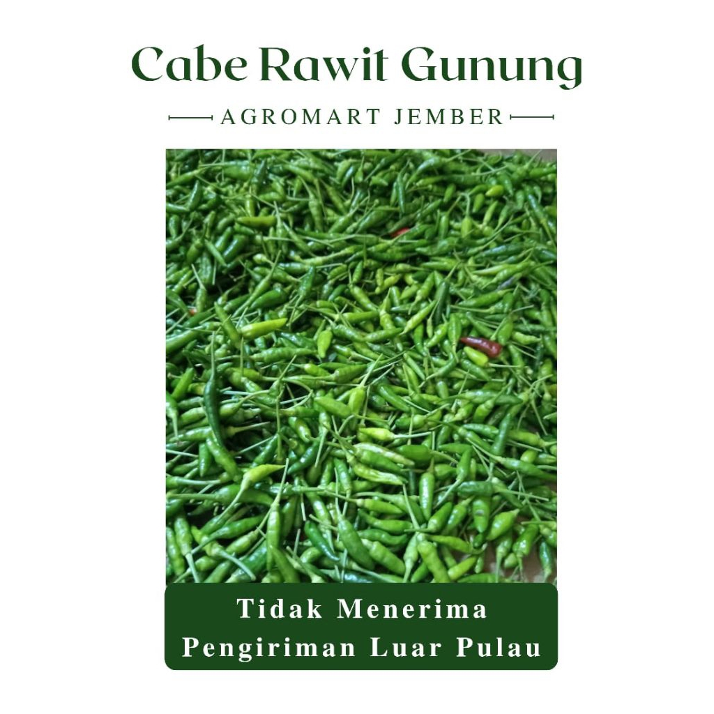 Cabe Rawit Gunung/Lokal Hijau (Fresh dari petani)