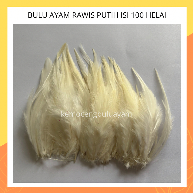 Bulu Ayam RAWIS Putih 100 Helai Lembut Halus untuk Hiasan Kepala Head Piece Mahkota Bando Bulu Asli
