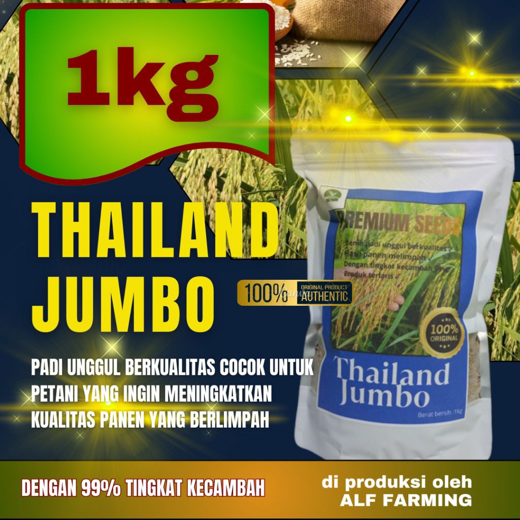 benih padi unggul Thailand jumbo bibit padi berkualitas premium 1kg