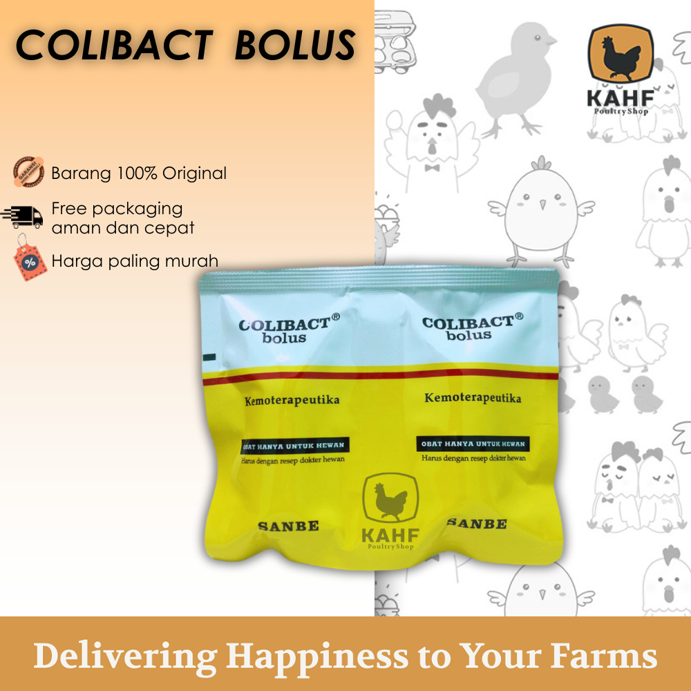 Colibact Bolus Ecer isi 1 Bolus